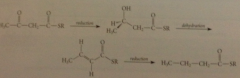 carbonyl reduction, dehydration, & db reduction, each cat by enzyme