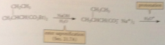 Result of alkylation, saponification, & decarboxylation