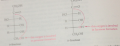 its carbonyl (ketone) form