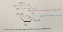 D-glucopyranose residue & a D-fructofuranose residue connected by glycosidic bonds @ anomeric C of both monosaccharides