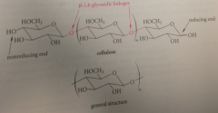 of D-glucopyranose units connected by B-1,4-glycosidic linkages