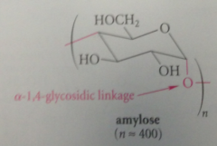 stereochem of glycosidic bond