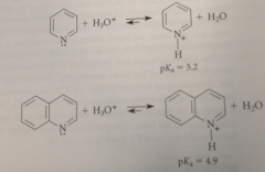 ordinary amine bases