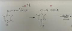protonation of anion & hydrolysis of resulting imine gives