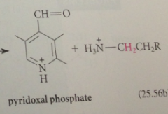 pyridoxal phosphate
