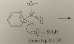 Loss of a proton from the carbocation