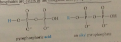 inorganic acid pyrophosphoric acid