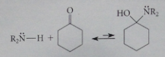Nuc addition: carbinolamine w no hydrogen on nitrogen so imine formation cannot occur