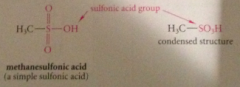 sulfonic acid group
