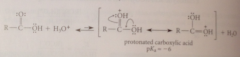 A resonance stabilized cation is formed
