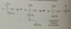 essentially same as acid-catalyzed rxn of alcohol w protonated aldehyde or ketone to form hemiacetal