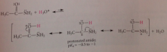 basic: reflects reduced electroneg of N relative to O -