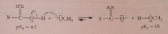 equilibrium lies to the right bc CA is a much stronger acid than methanol - Le Chateliers principle: rxn removes CA from equilibrium as salt driving hydrolysis to completion