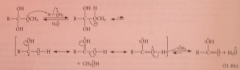 protonation of leaving O - lose group - protonated CA from which proton removed to give CA itself