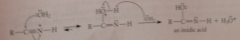 nuc rxn of h2o at nitrile C + loss of proton gives imidic acid intermediate