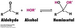 Hemiacetal  

(Ketone & Aldehydes )Carboynyl + OH = Hemiacetal

R-O-C-OH