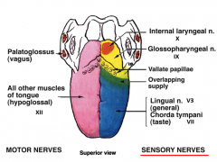 sensory: anterior 2/3-- lingual nerve V3 (touch, temp, pressure), chorda tympany VII (taste) 
posterior 1/3-- glossopharyngeal IX (pharynx, touch temp pressure and special taste to vallate papillae)
motor: hypoglossal nerve XII