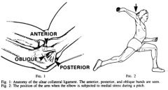 During a thrower's kinetic chain, increased shoulder internal rotation torque contributes to increased valgus elbow loads. Marshall et al described the importance of proximal to distal control of the upper extremity in producing angular and racket...