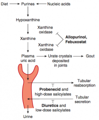 - Inhibits xanthine oxidase
- Chronic gout drug (preventive)