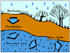 An area of the Earth's surface from which water percolates down into an aquifer.