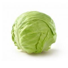 Cabbage, Green 