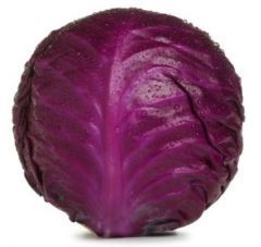 Cabbage, Red 