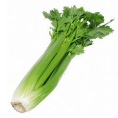 Celery