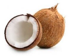 Coconut
