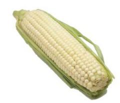Corn, White (sweet) 
