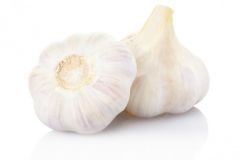 Garlic