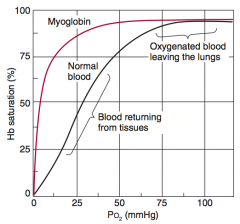 Myoglobin is monomeric and does not show positive cooperativity, thus curve lacks sigmoidal appearance