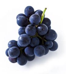 Grapes, Blue/Black 