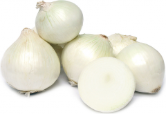 Onion, White