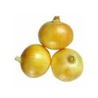 Onion, Baby Yellow