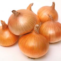 Onion, Yellow 
