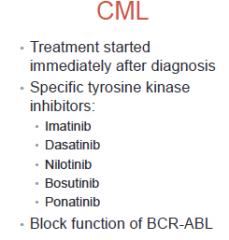  - STKIs do not cure CML, keep in remission