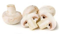 Mushroom, White