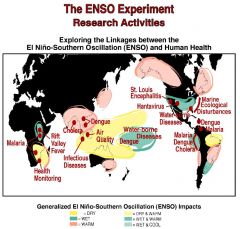 Bilden visar hur ENSO faserna påverkar utbrotten av sjukdomar. ENSO styr också mängden fisk tillgänglig utanför Perus kust och hur stora delar av Australien som brinner ner / svämmar över. Svält och misär följer i Indonesien, Indien, Afr...