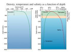 Minskad salthalt och ökad temperatur ger minskad densitet. I djuphaven ligger salthalten på 35 promille och temperaturen på 3-4 grader.