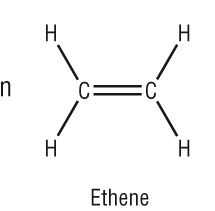 This is ethene. Describe the structure of polyethene.