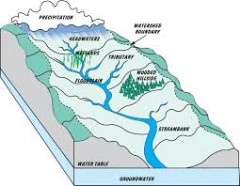 The area of land that us drained by a river is known as a watershed