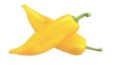 
Pepper, Yellow