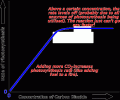 -Above a certain concentration the rate levels off.

-More CO2 increases the photosynthesis rate. 