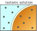 The solution outside the cell has the same concentration as the inside of the
cell. 