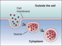 Cell membrane pinches off -
transports many molecules into cell at the
same time. 