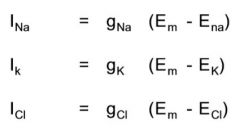 gNa and gK are the chord conductances for the respective ions.
 ENa and EK are the equilibrium potentials. Em is the membrane potential. 