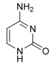 Pyrimidine Base of DNA