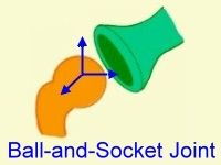 3 Degrees of freedom (all 3 planes)
Ball & Socket Joint

Glenohumeral, Hip