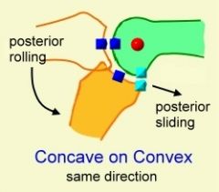 conCAVE moving on conVEX surface

move in SAME direction
EX) Tibia on Femur