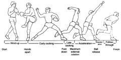 Windup
Cocking: Early, Late
Acceleration/Deceleration
Follow Through